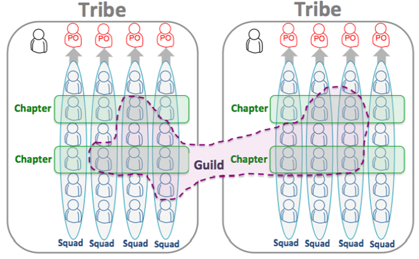 Squads exist within Tribes, Chapters include people form various Squads while Guilds can include any people regardless of their Tribe, Chapter or Squad.
